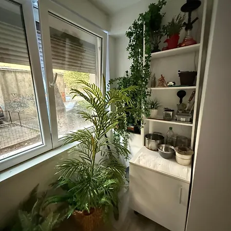 アパート Green Apartment