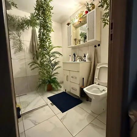 Green Apartment アパート *