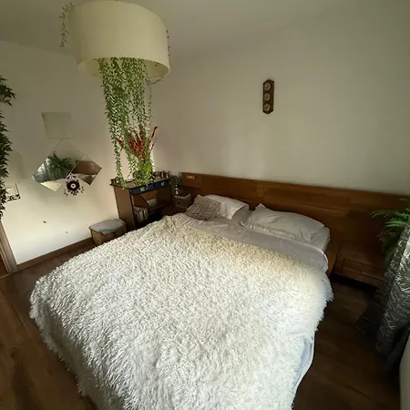Green Apartment Apartment *