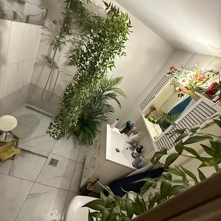 Apartment Green Apartment